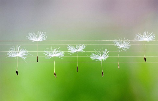 Был у ноток выходной...