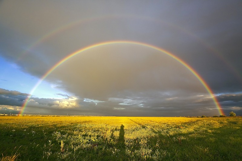 Мои горизонты