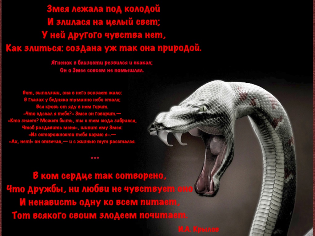 Змейка текст. Стих про змеи. Высказывания о змеях. Цитаты про змею.