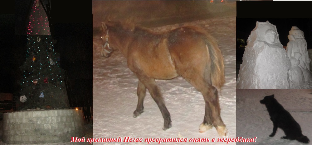 Мой крылатый Пегас превратился опять в жеребёнка!