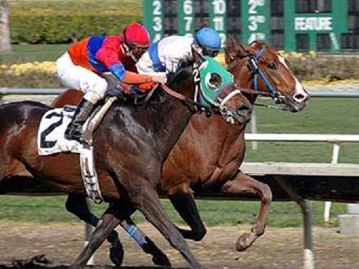 Лошадь - под номером два...