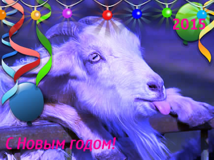 Синяя козочка