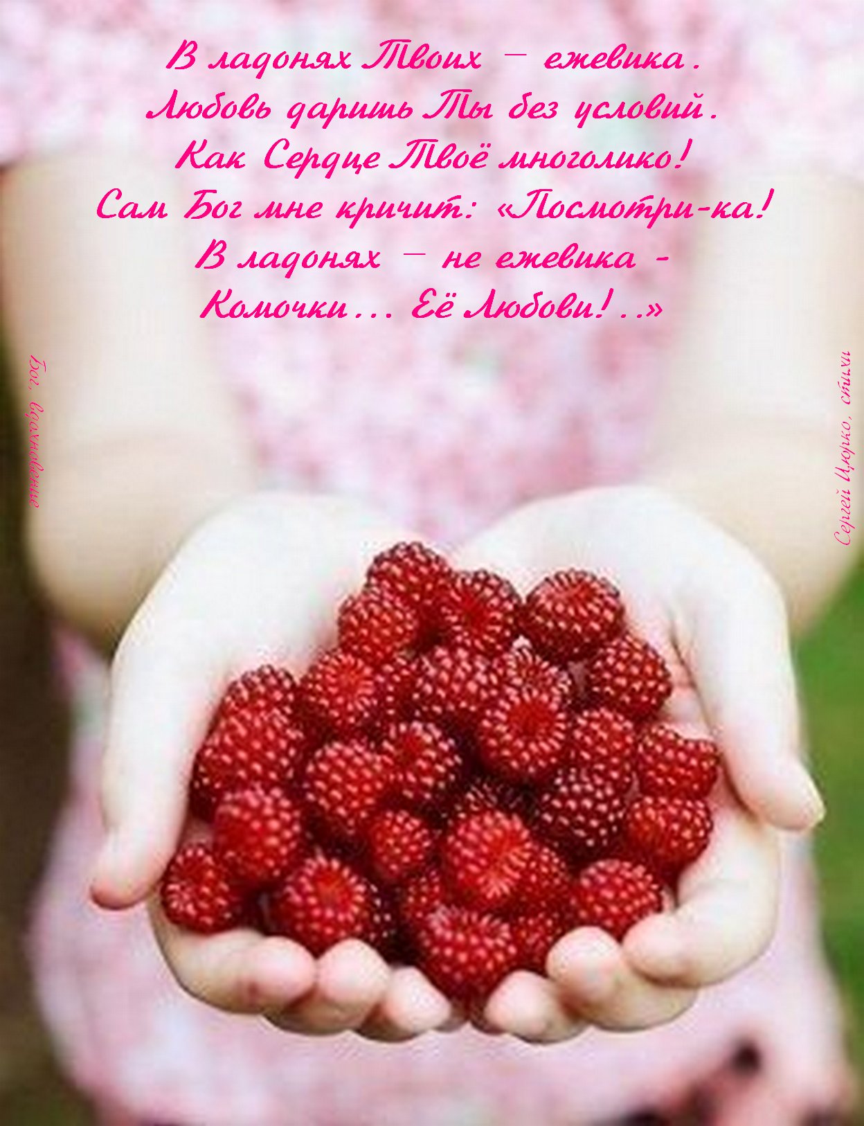 Клубника на ладони. Малинки 6. Малина собирает. Малинки 6. Малина утро.