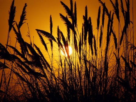 Я открыла дверь Судьбе своей навстречу...