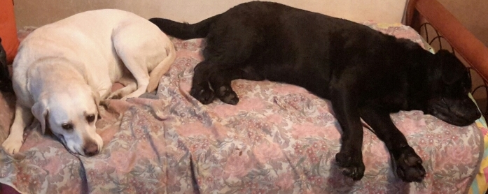 Спасительница -3