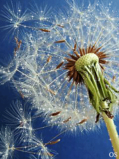 2-ое Послание от. Бэтман Аполло