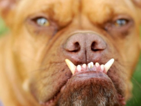 Пусть покупателя - жребий решит!