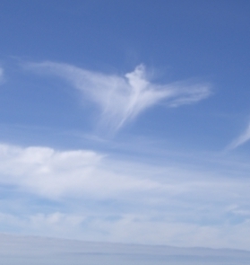 эта странная Женщина... странная