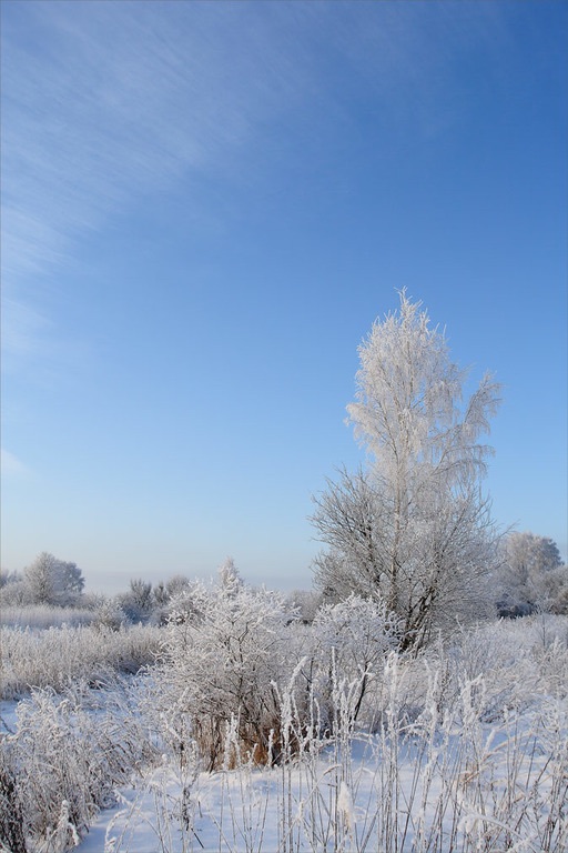 В белом-белом, своем, грациозно...