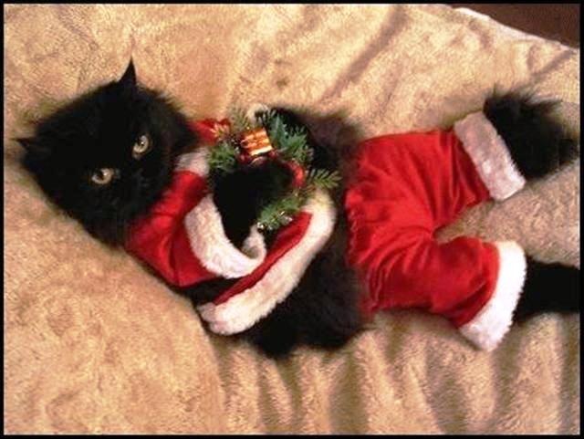 Прекрасно, коль сбываются мечты!