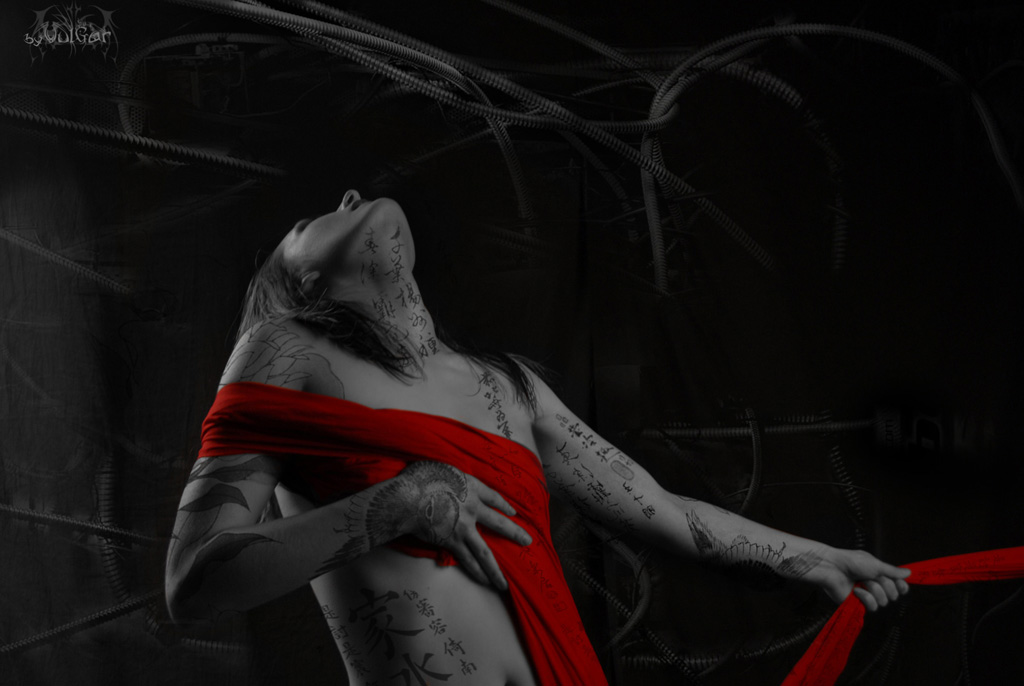 Они говорят...