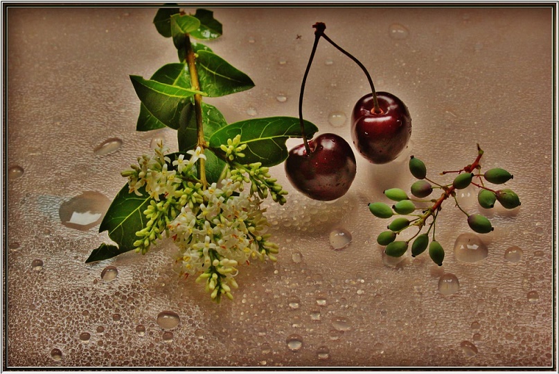 Ob ein Gleichklang noch vorhanden ist