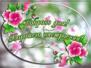 Солнце гладит спозаранку
