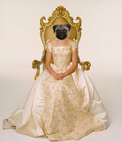 Слёзы - от свадьбы, с развода - восторг!