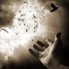 Пусть полетают