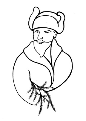 Новогодняя