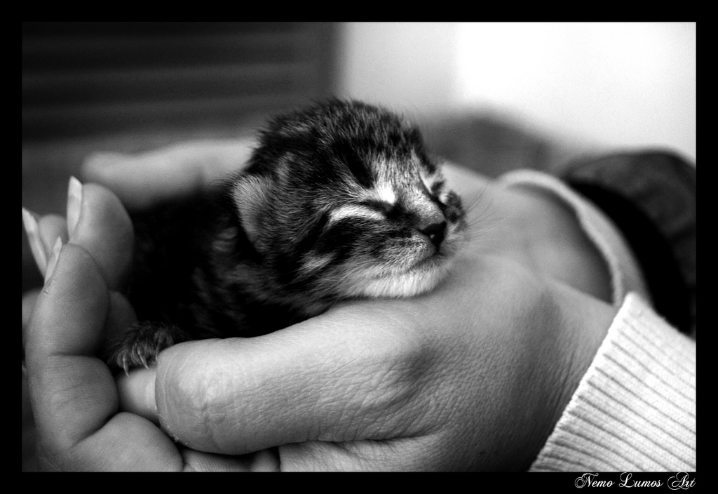 Меня вчера не утопили