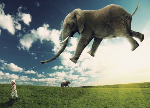 Слон и верёвочка. Басня
