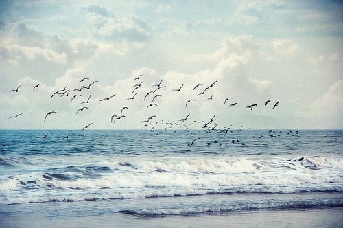 пропал весь свет... ушла душа...