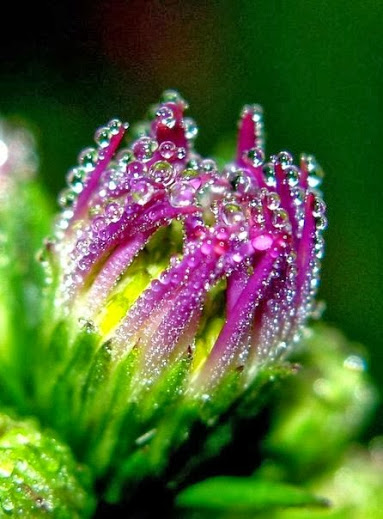 Транзиты судьбы