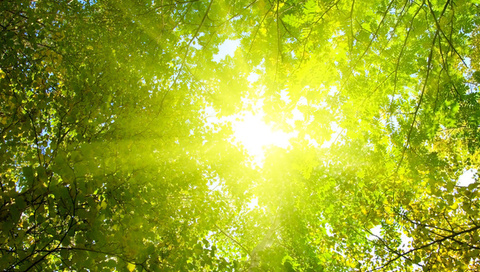 Пусть везде будет только добро!