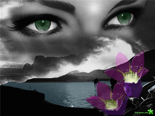 Три замка носи