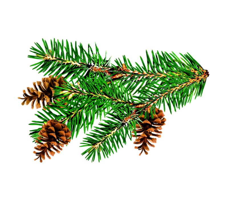 Eщё немного... Хайку