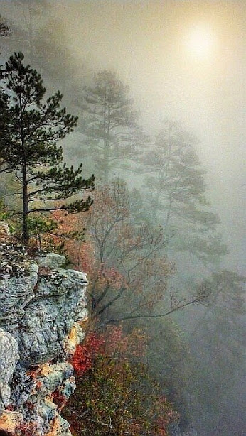 Странные люди