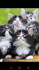 В руки счастье взять невозможно
