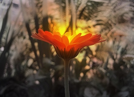 Не теряй мой след...