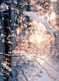 Январский вечер