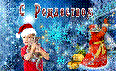 Кот в мешке от Деда Мороза