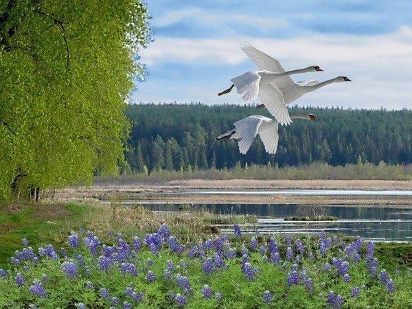 Давай с тобой поговорим...