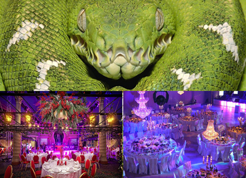 Толкование сна. 48. Устроитель банкета