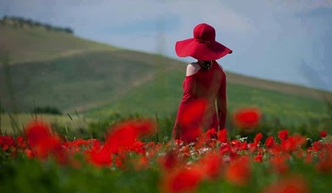 Ветра разлук