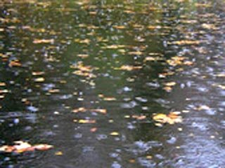 Ты уже далеко...