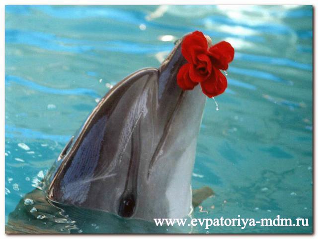 Настал в нашей жизни момент ключевой!