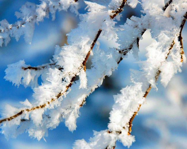 Картинки из окна