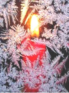 Взойдет звезда