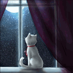 Кот Василий - звездочёт