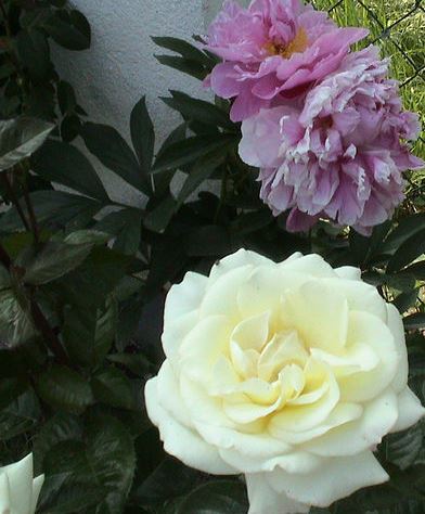 Вдвоем не страшно