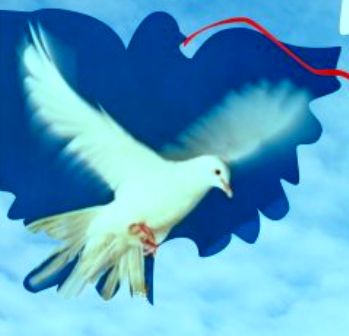 Я становилась на крыло