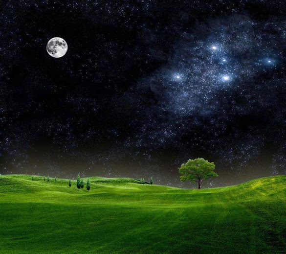 Растрепались кудри у Отечества