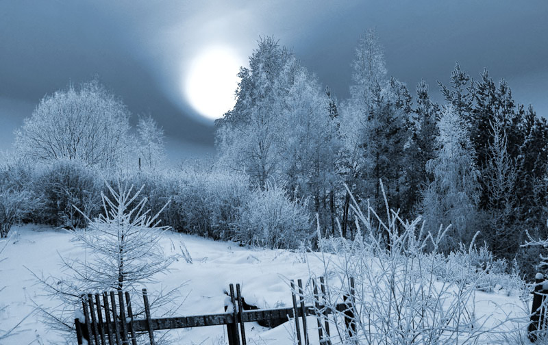 О, эти взор и поцелуи...