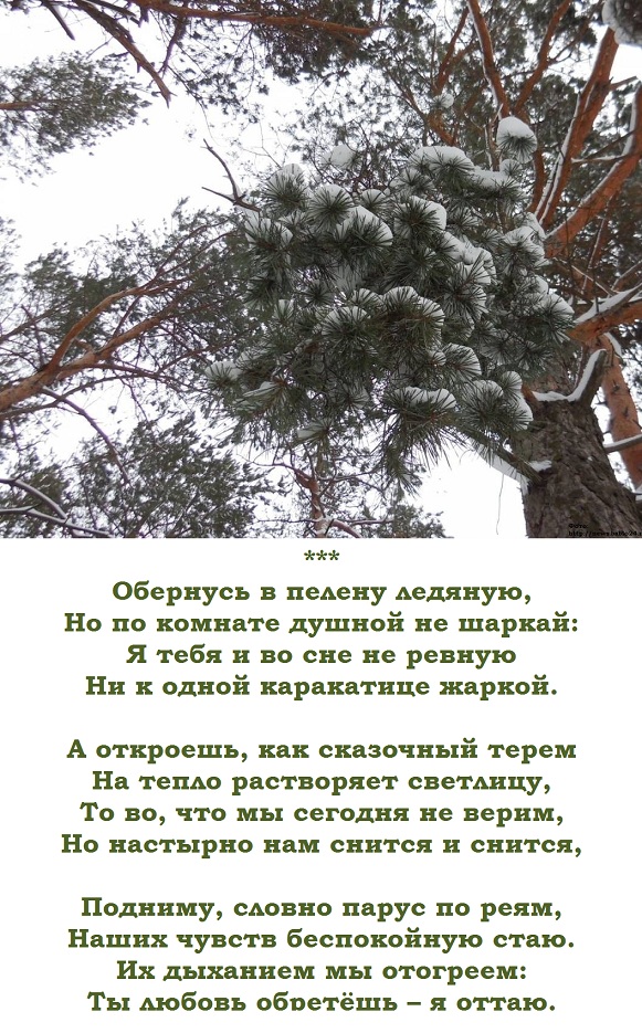 В пелене января. Словно пеленою стих. Что такое пелена в стихотворении. Прозаическое стихотворение на тему что снится деревьям. Стих времена года из пелены.