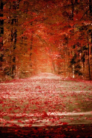 Лишь губ твоих мне больше не коснуться