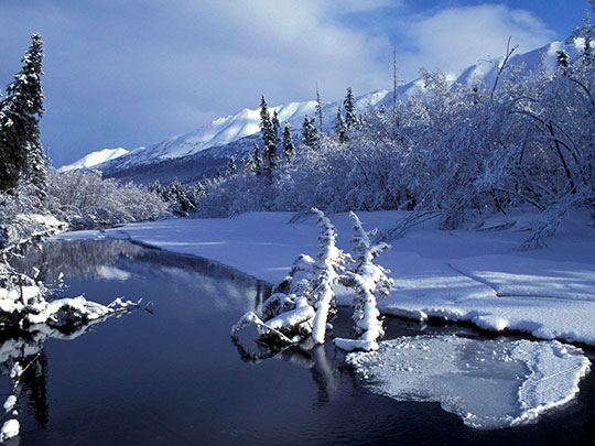 Январская стужа