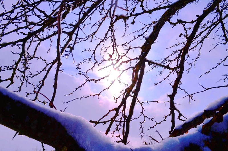 Зимние сны Сергей Михайлович Восточный. И Экспромт