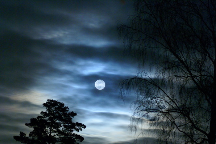 Я забыл про свои неудачи