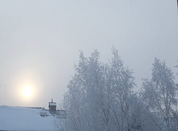 Январское солнышко (Ирина Куценко Першакова) / Стихи.ру